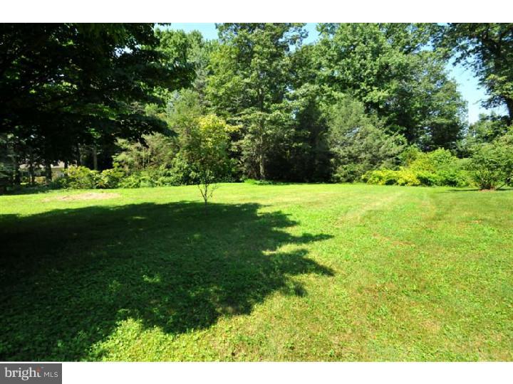 604 Norristown Road Ambler, PA 19002 - Photo 21 of 23 Back Yard