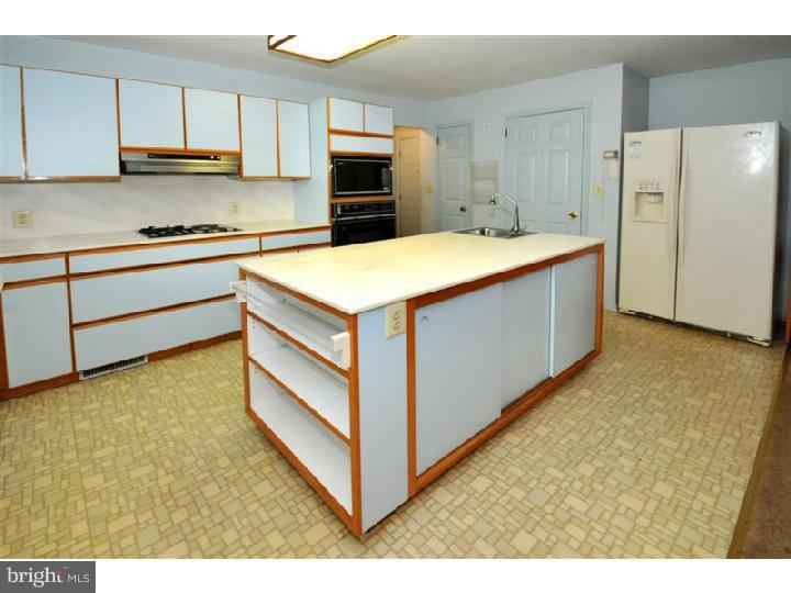 604 Norristown Road Ambler, PA 19002 - Photo 8 of 23 Kitchen