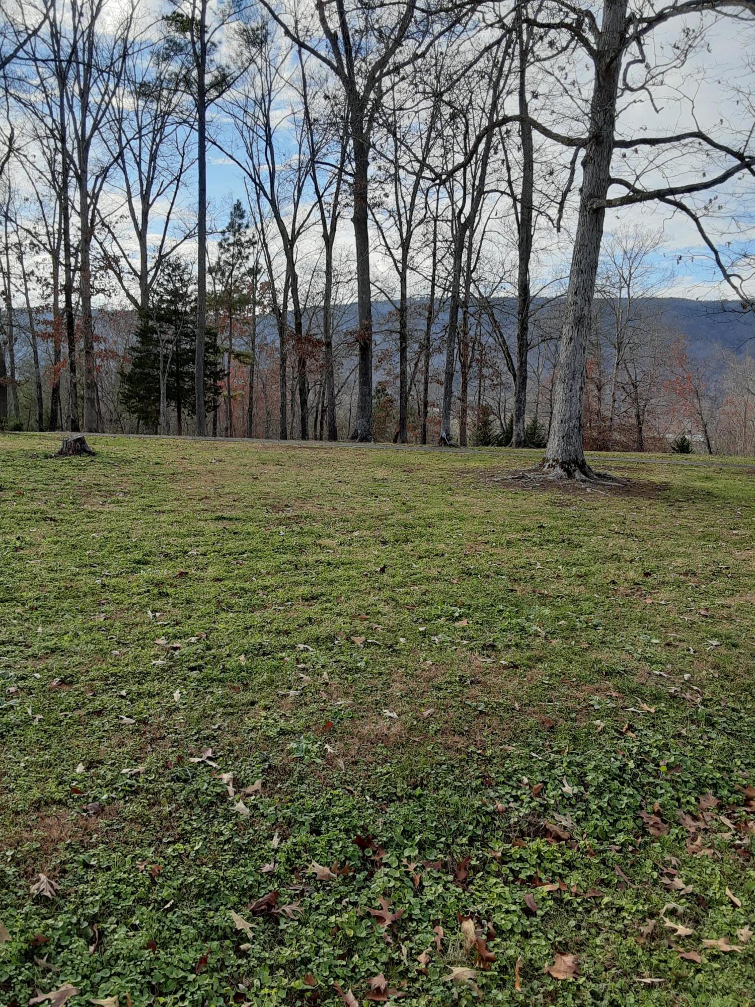 2095 Ridge Road Dunlap, TN 37327 - Photo 4 of 31 Views from the home