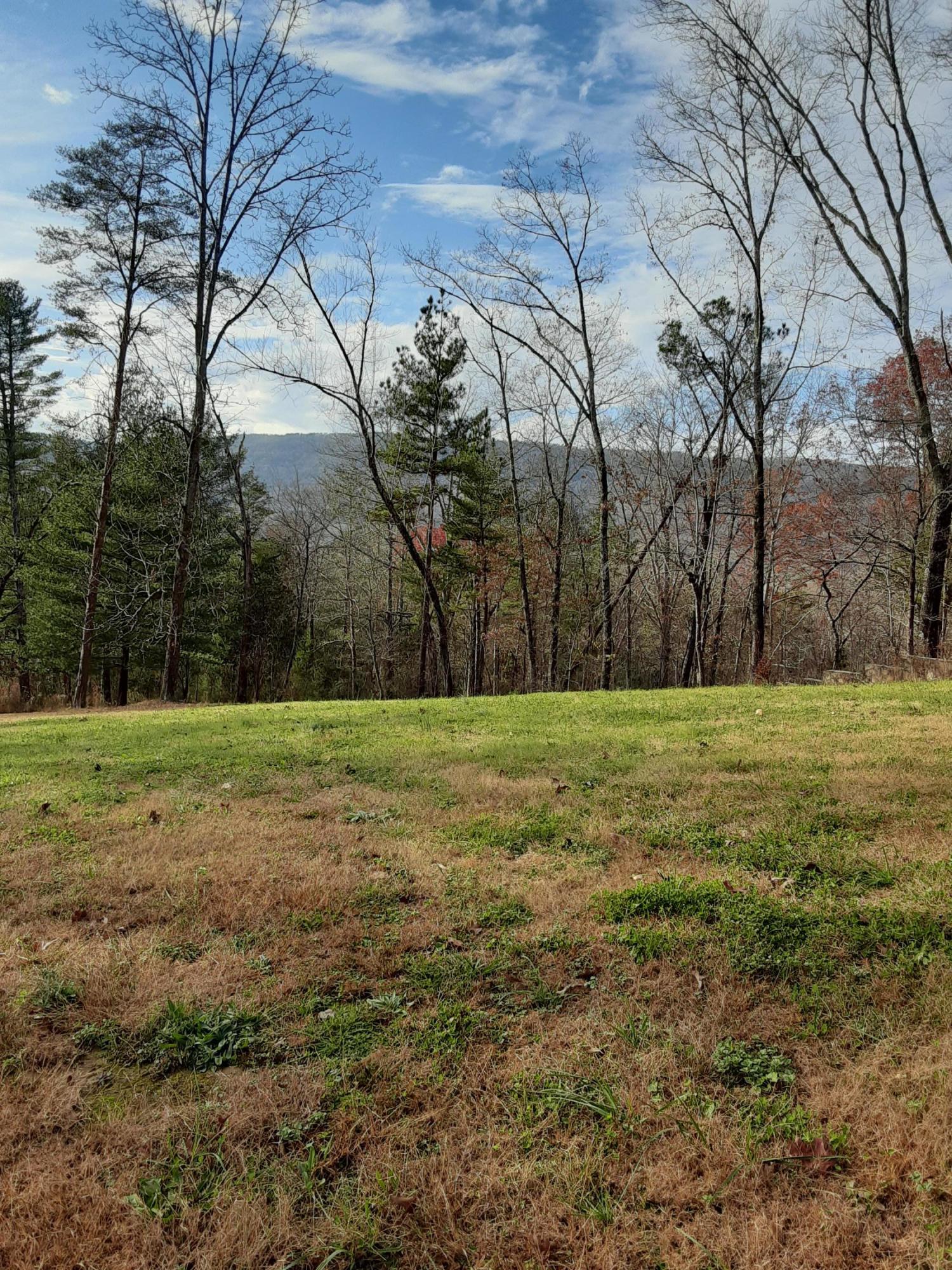2095 Ridge Road Dunlap, TN 37327 - Photo 5 of 31 Mountain Views