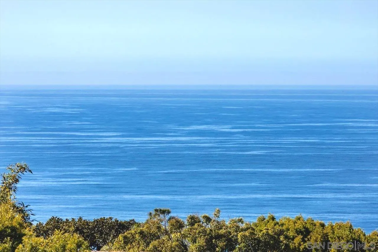 13726 Pine Needles Drive Del Mar, CA 92014 - Photo 4 of 70