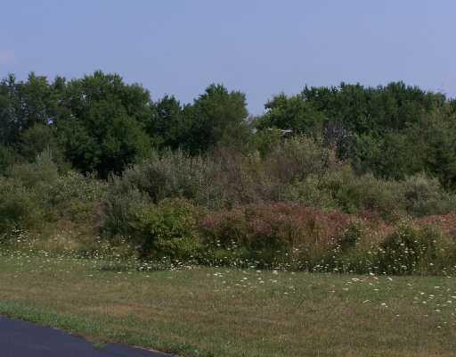 9652 Platt Road Milan, MI 48160 - Photo 7 of 9 Photo 7