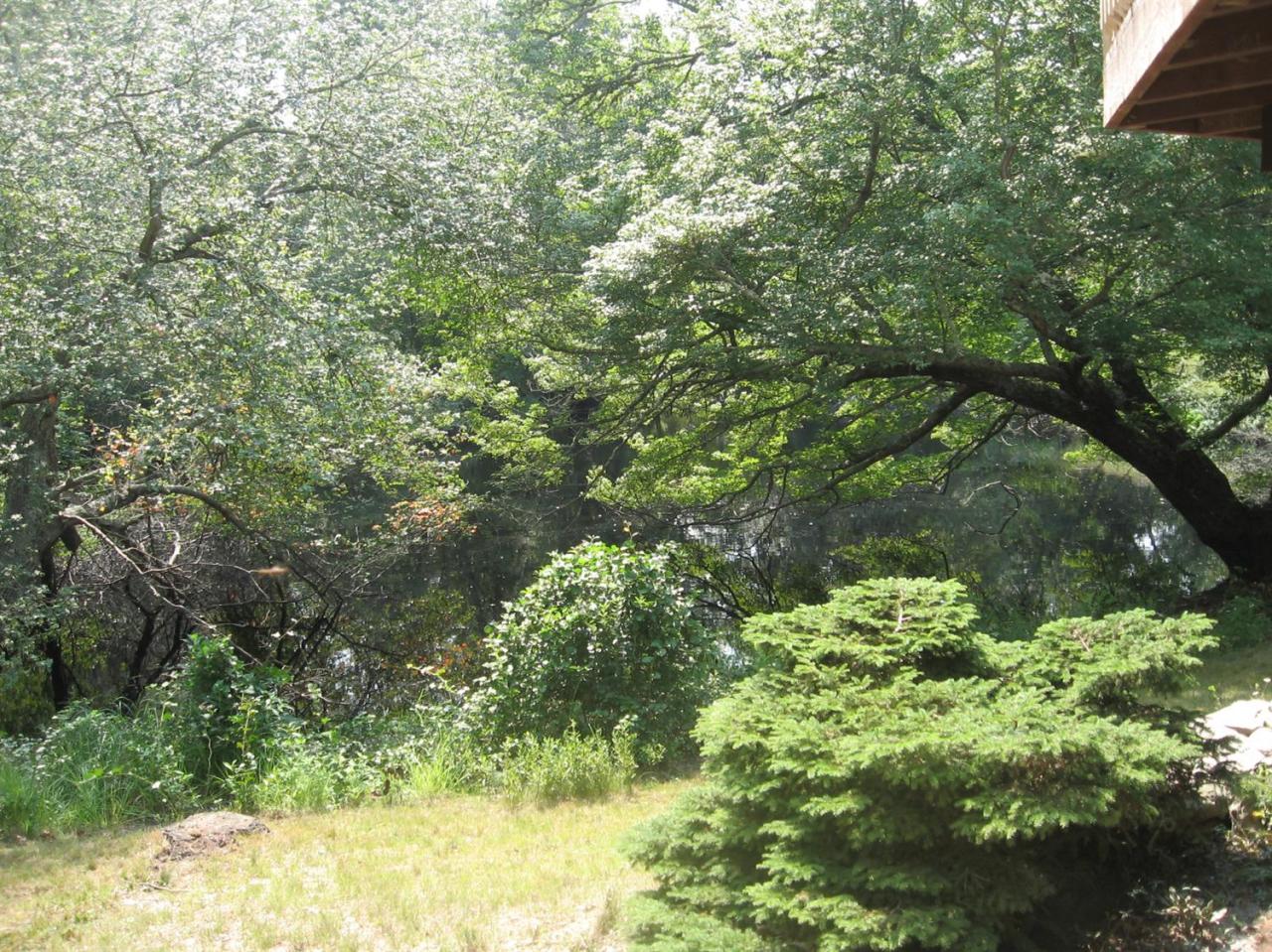 19 Kettle Pond Way Orleans, MA 02653 - Photo 11 of 11 Additional Photo
