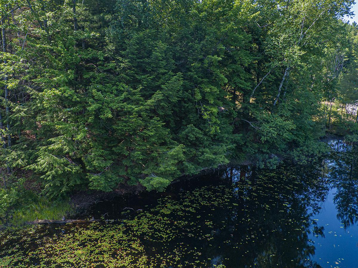 N8968 Forest Road Deerbrook, WI 54424 - Photo 22 of 26 Gallery Image 22