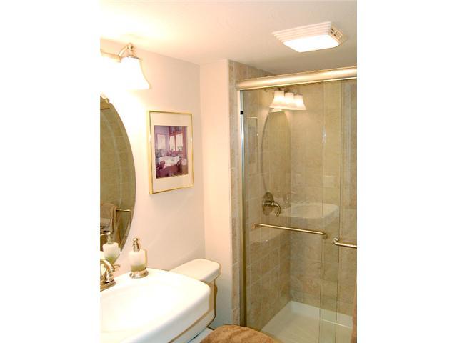 404 Village Ridge Drive Powell, OH 43065 - Photo 21 of 23