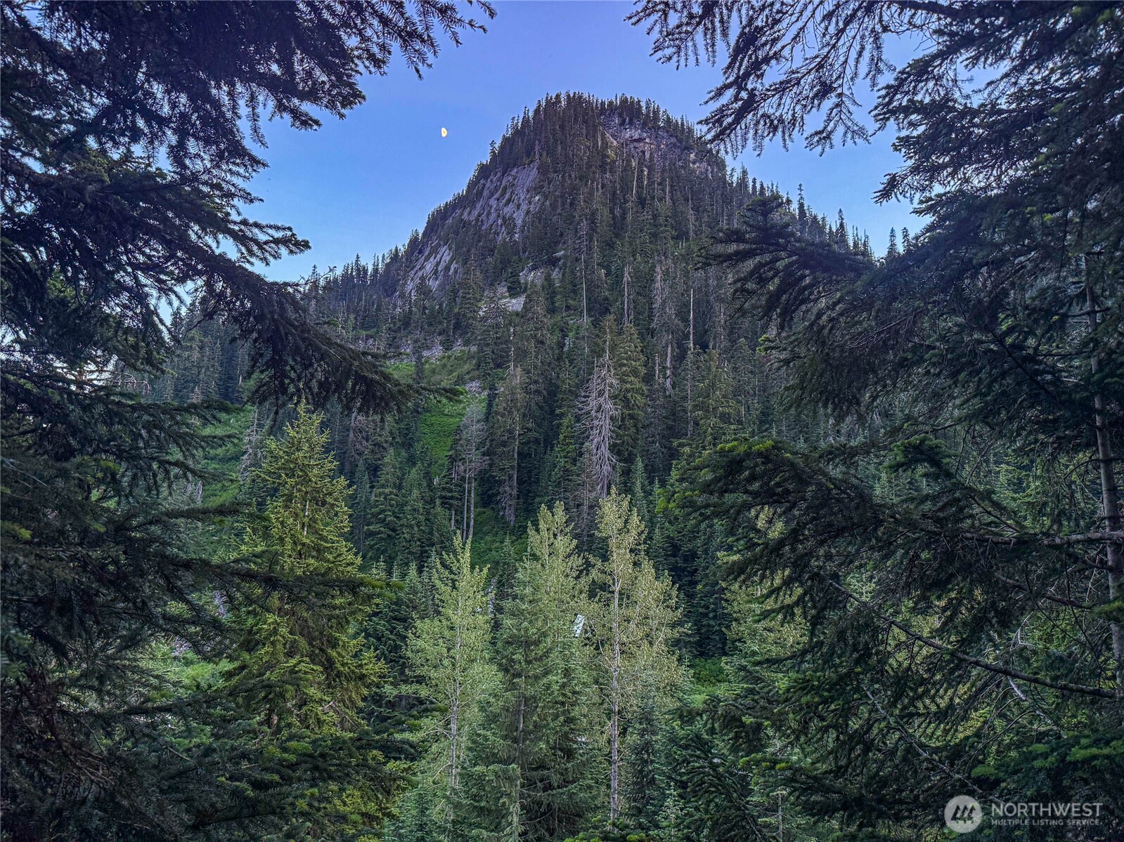 17800 Alpental Access Road, Unit 3102 Snoqualmie Pass, WA 98068 - Photo 5 of 32