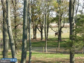 595 Scott Road Pipersville, PA 18947 - Photo 10 of 10 Gallery Image 10