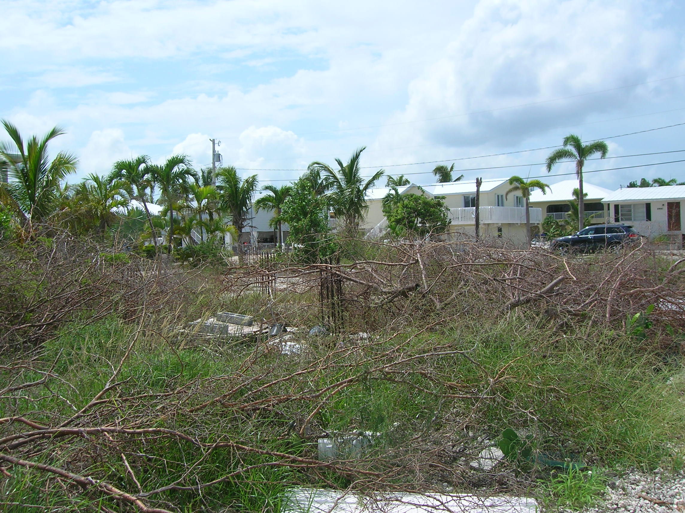 Lot 13 Ranger Avenue Big Pine Key, FL 33043 - Photo 4 of 9 DSCN7367