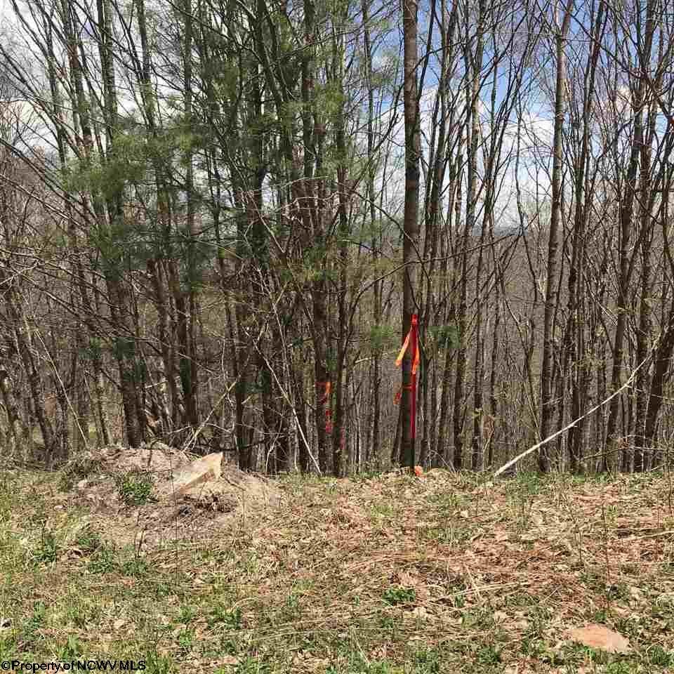 0 Haines Knob Road Harman, WV 26270 - Photo 10 of 20 Gallery Image 10