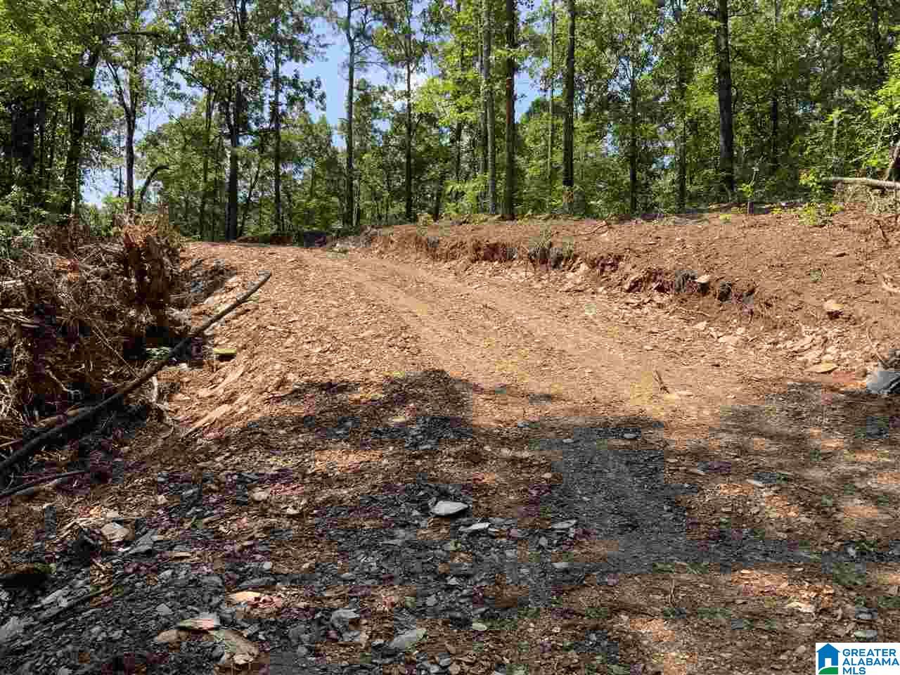 0 County Road 199, Unit 19 / ACRES Clanton, AL 35046 - Photo 5 of 17