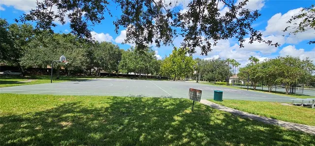 a view of a park with large trees