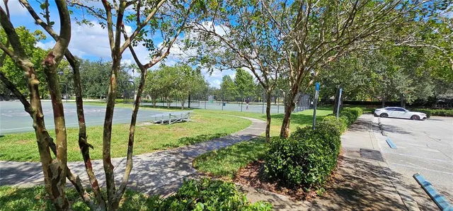 a view of a park with large trees