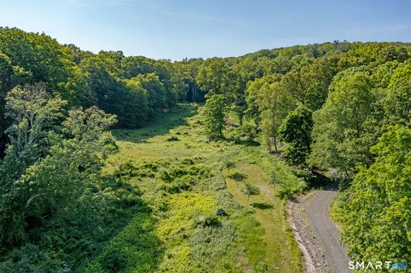 a view of a forest