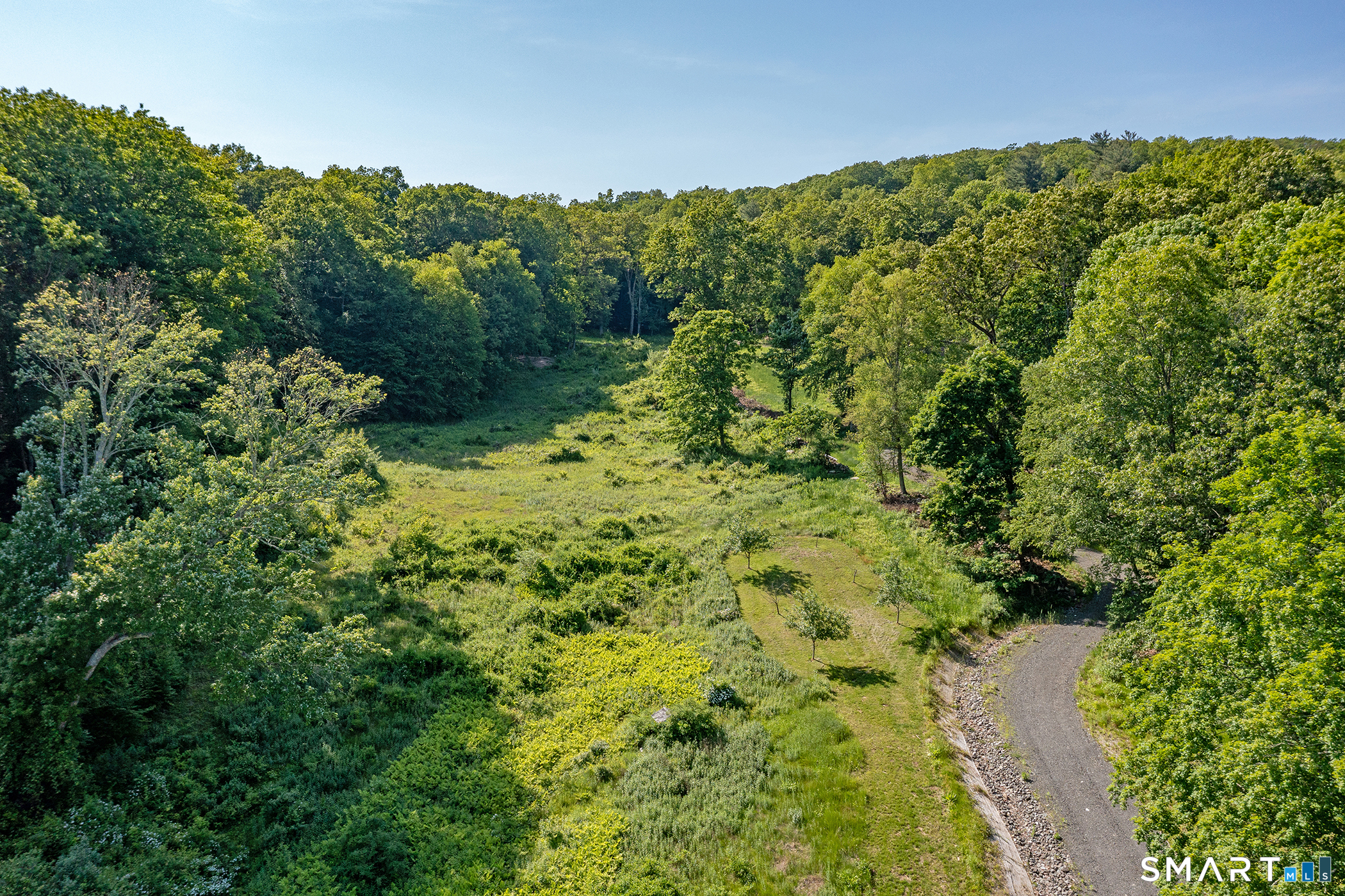 179 South Street Roxbury, CT 06783 - Photo 5 of 13 a view of a forest