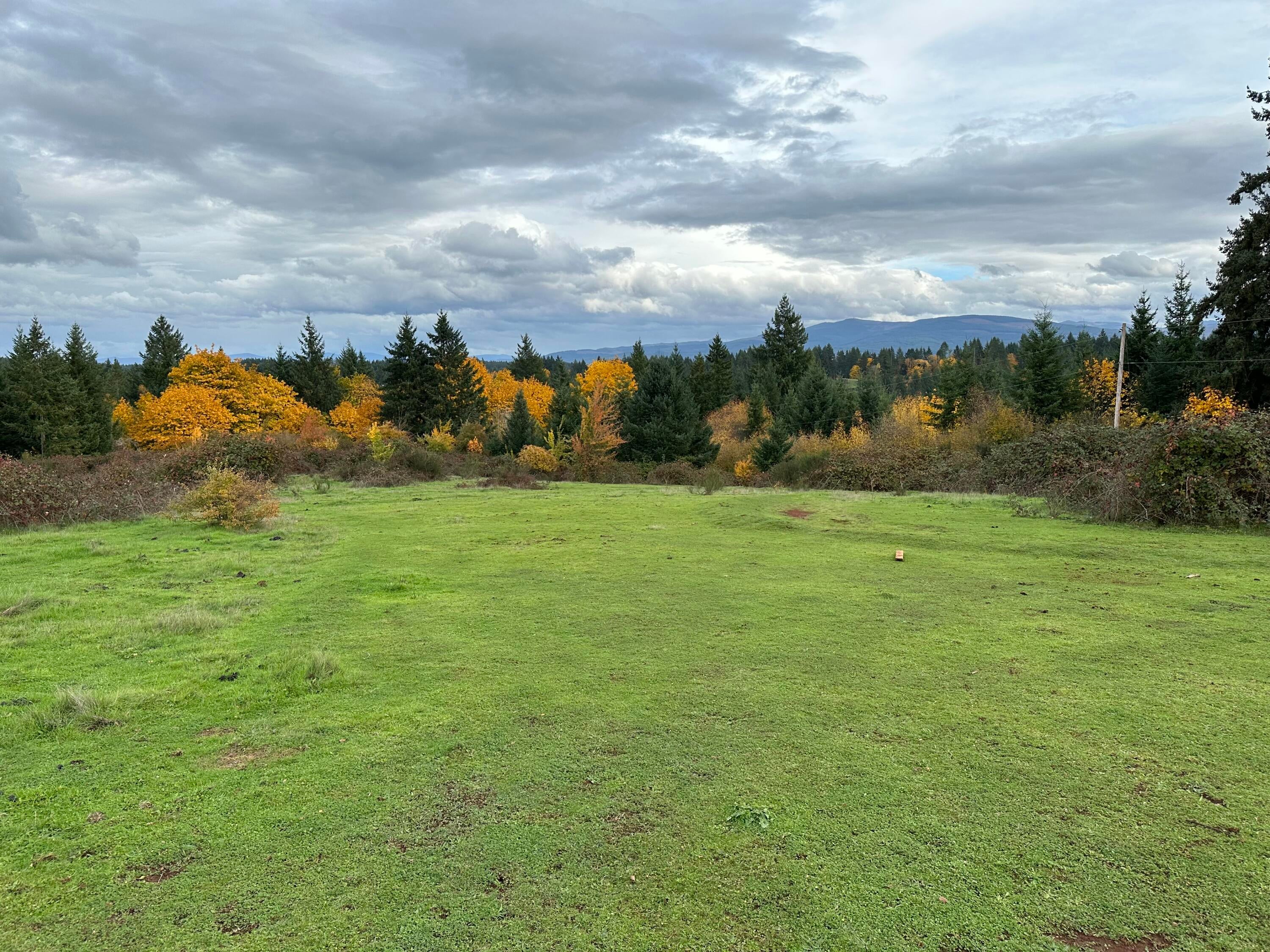 28003 South Gard Road Mulino, OR 97042 - Photo 10 of 43 IMG_4328
