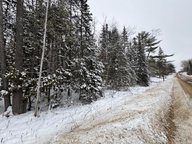 Lot 15-15 Brann Road Levant, ME 04456 - Photo 4 of 5