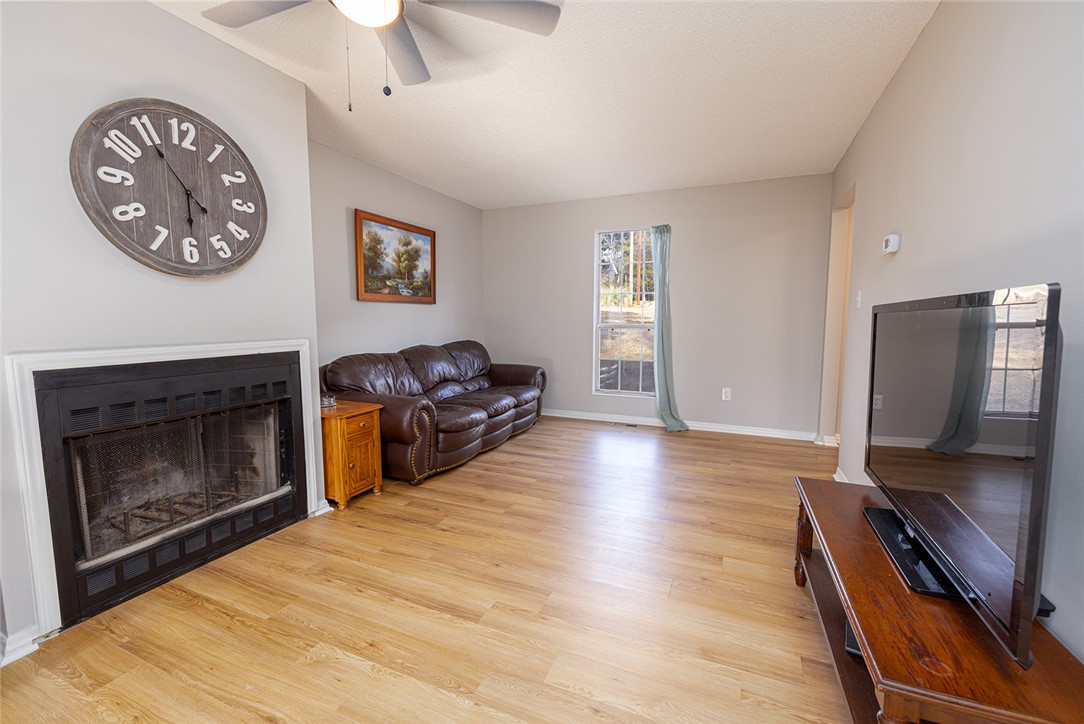410 South Cove Road Seneca, SC 29672 - Photo 11 of 25 This living room features a cozy fireplace, light wood flooring, and ample natural light.