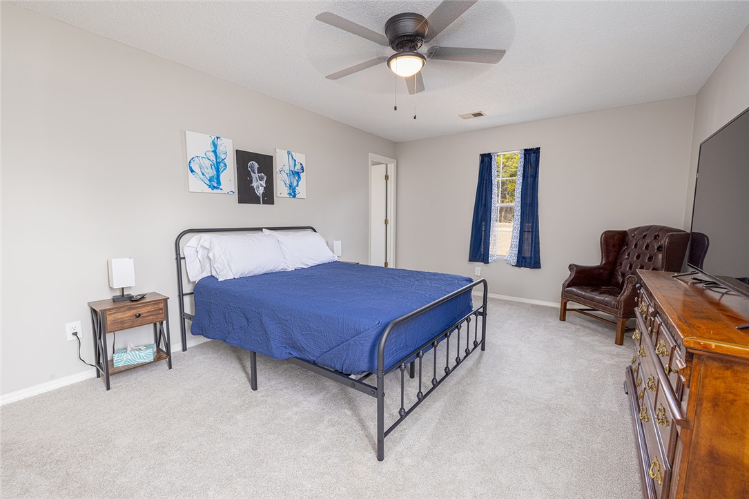 410 South Cove Road Seneca, SC 29672 - Photo 24 of 25 This spacious bedroom offers ample comfort and natural light, creating a serene personal retreat.