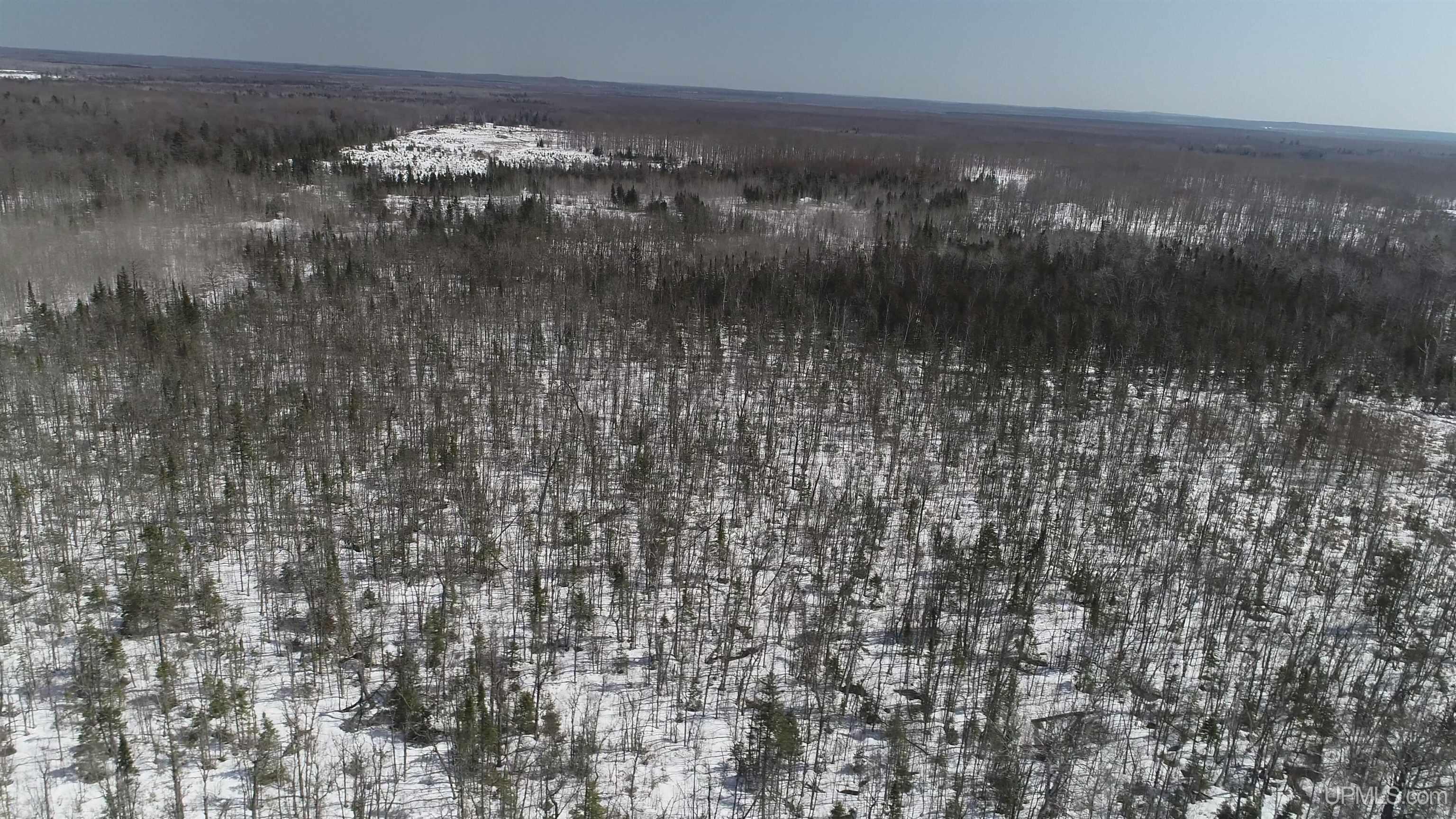 V25 Rd Trenary Mi 49891 Road Rapid River, MI 49878 - Photo 21 of 28