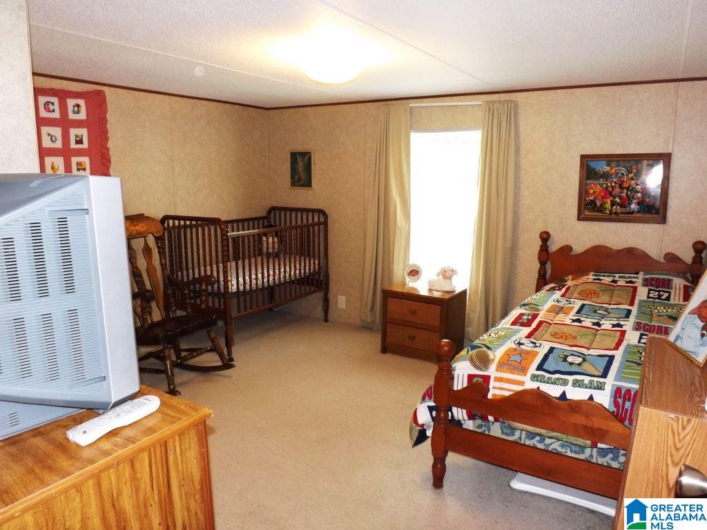 184 Cedar Springs Road West Blocton, AL 35184 - Photo 13 of 20