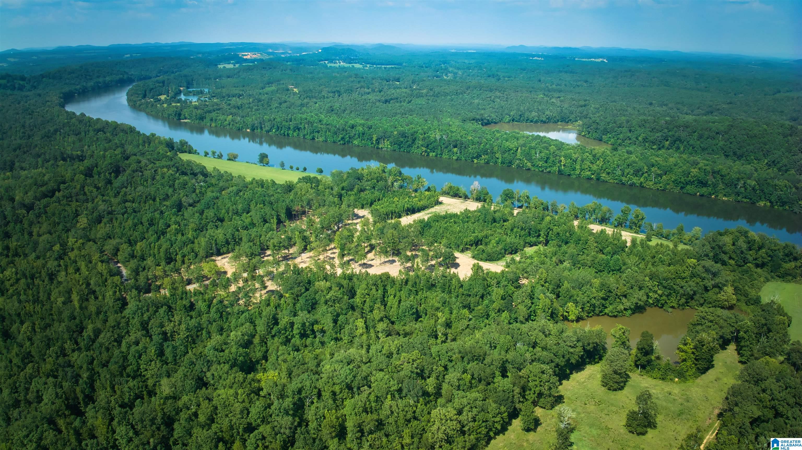 Lot 20 Wester Road, Unit LOT 20 Ragland, AL 35131 - Photo 33 of 68