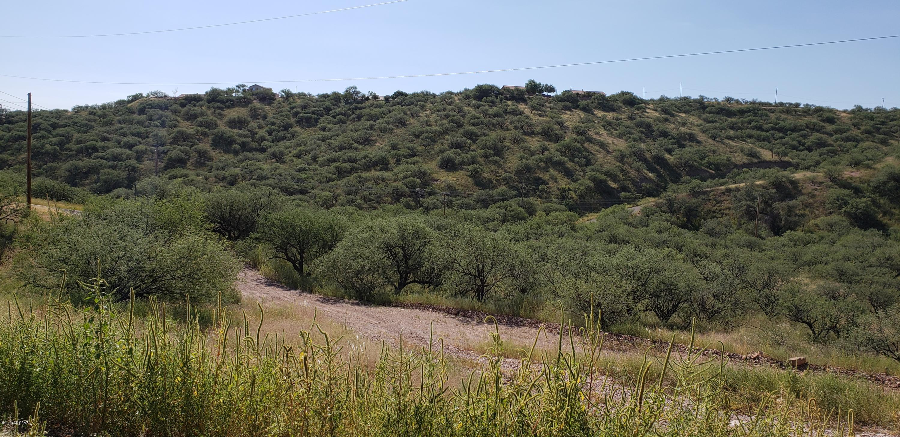 690 Ona Lane Rio Rico, AZ 85648 - Photo 15 of 18