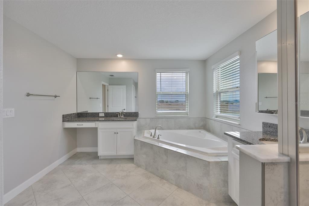 11454 Freshwater Ridge Drive Riverview, FL 33569 - Photo 34 of 65 a spacious bathroom with a granite countertop tub sink and mirror