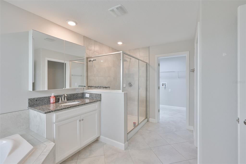 11454 Freshwater Ridge Drive Riverview, FL 33569 - Photo 35 of 65 a bathroom with a granite countertop sink a mirror and a shower