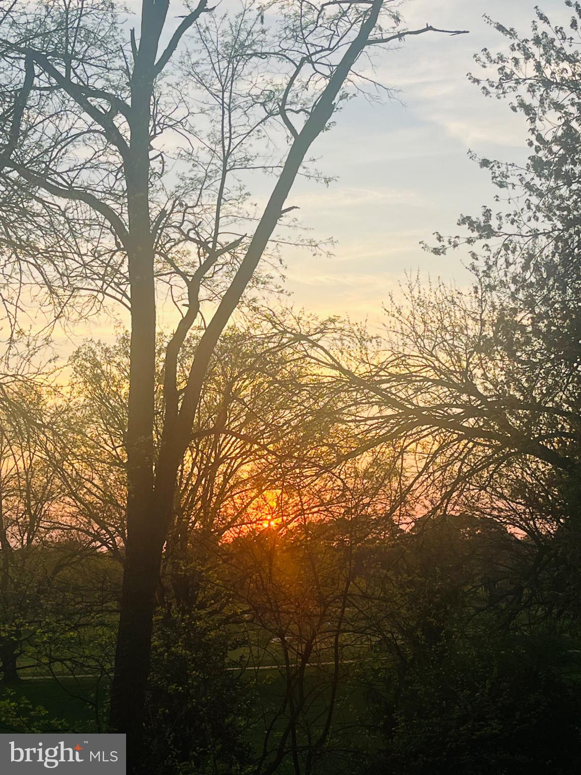 304 Old Courthouse Road Northeast Vienna, VA 22180 - Photo 3 of 25 Sunset through the trees' embrace.