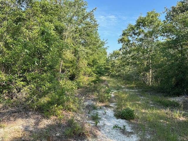 2576 Jessie James Pond Road Wrens, GA 30818 - Photo 32 of 47 IMG_4004
