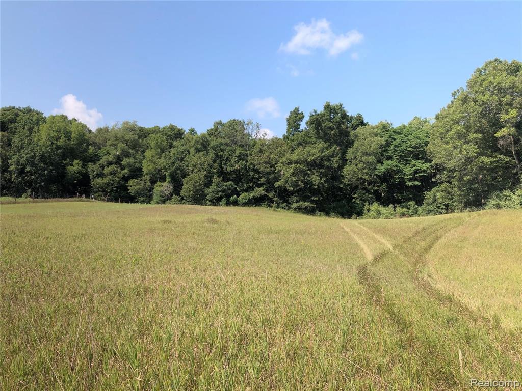 0 Cedar Lake Road Pinckney, MI 48169 - Photo 4 of 5
