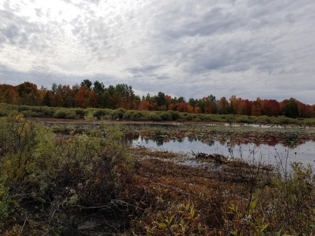 2089 Sigma Road Southeast Kalkaska, MI 49646 - Photo 4 of 57 1905734-3.JPG