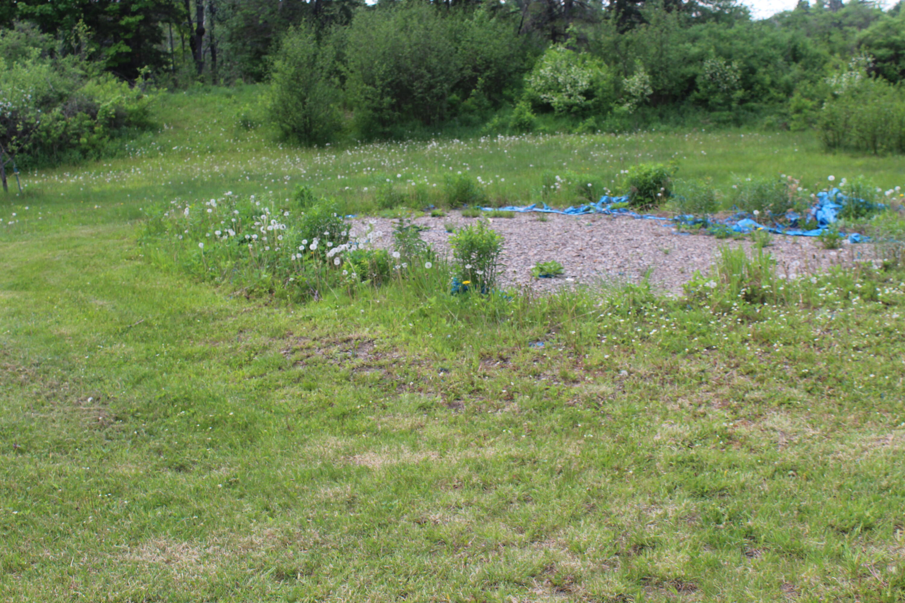 229 River Road Oakfield, ME 04763 - Photo 78 of 87 IMG_5181
