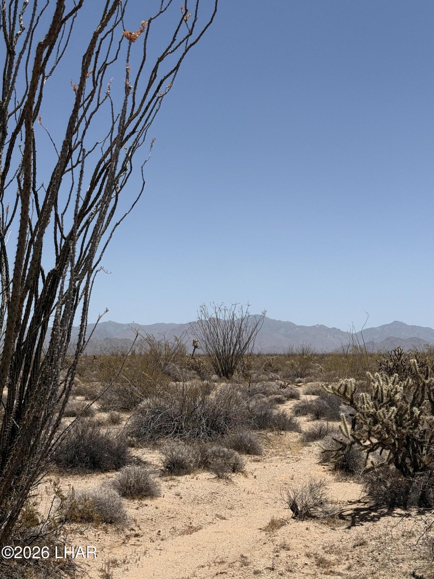 0 South Doc Holliday Road Yucca, AZ 86438 - Photo 6 of 9