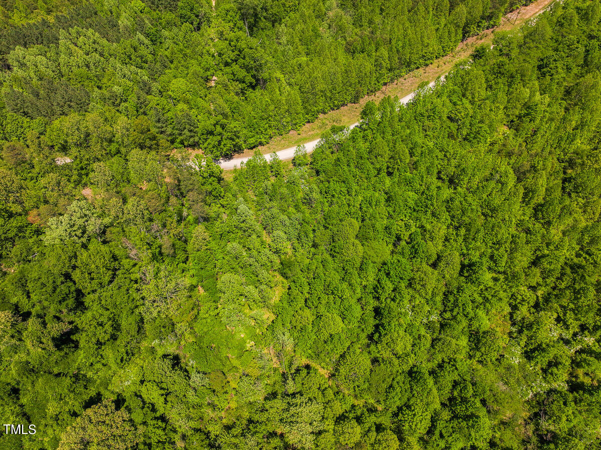 Lot-1-00 Wilson Road Providence, NC 27315 - Photo 41 of 43 Caswell Co. NC -Wilsons Ridge-Lot 1-39