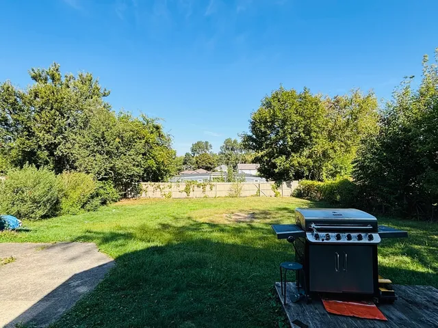 a view of a big yard with potted plants and large trees