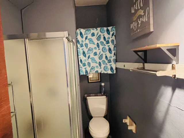 a bathroom with a toilet and a shower
