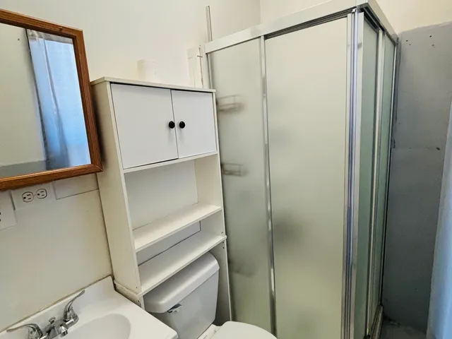 a bathroom with a shower and a toilet