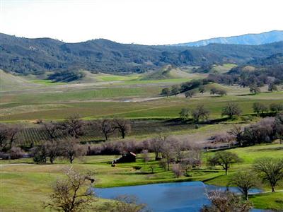 2443 Barnett Road Pope Valley, CA 94567 - Photo 4 of 7 Gallery Image 4