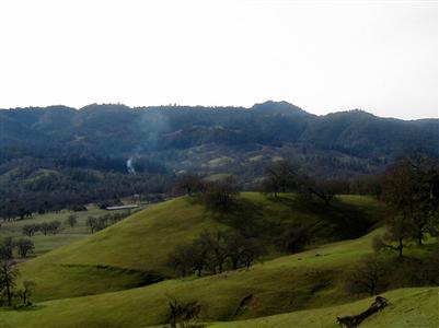 2443 Barnett Road Pope Valley, CA 94567 - Photo 6 of 7 Gallery Image 6