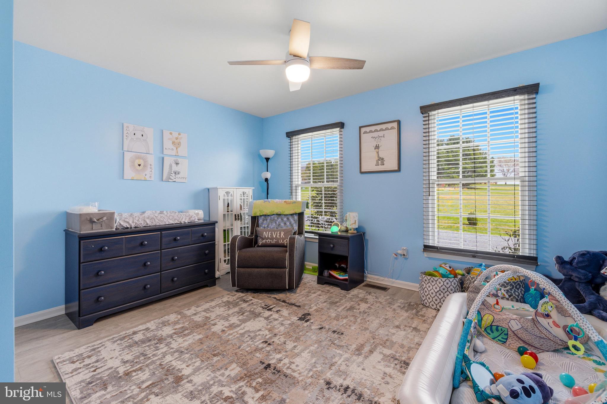 217 Silver Bell Lane Luray, VA 22835 - Photo 28 of 93