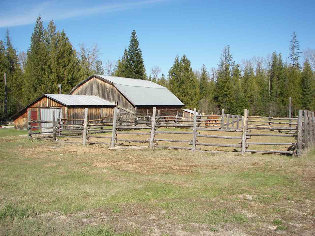 142 Danforth Road Usk, WA 99180 - Photo 5 of 15