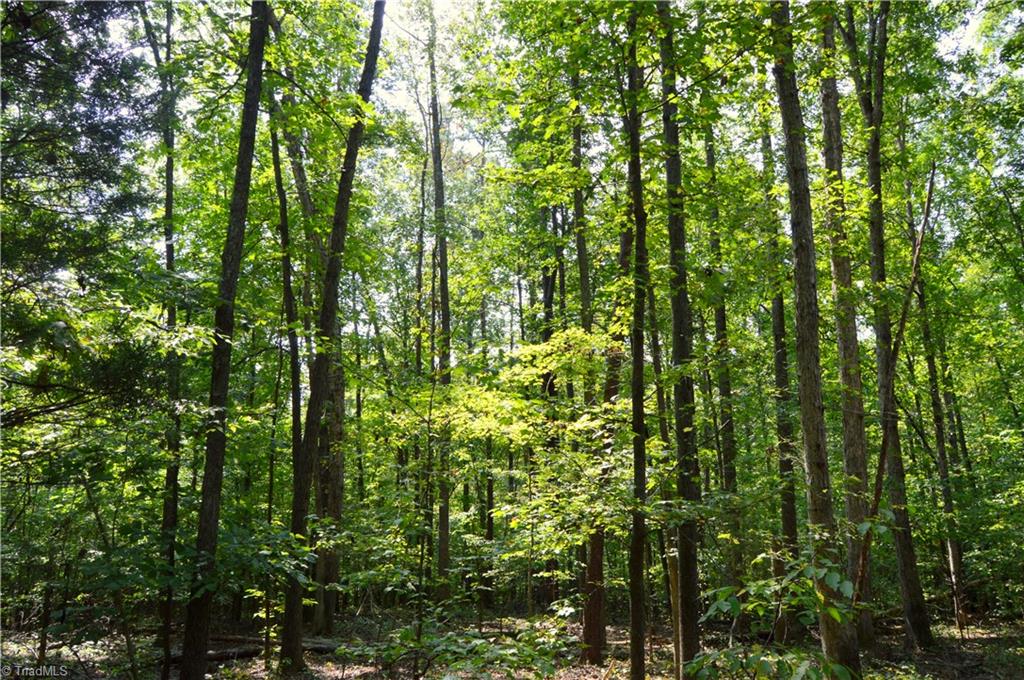 330 Hampton Road Eden, NC 27288 - Photo 5 of 16