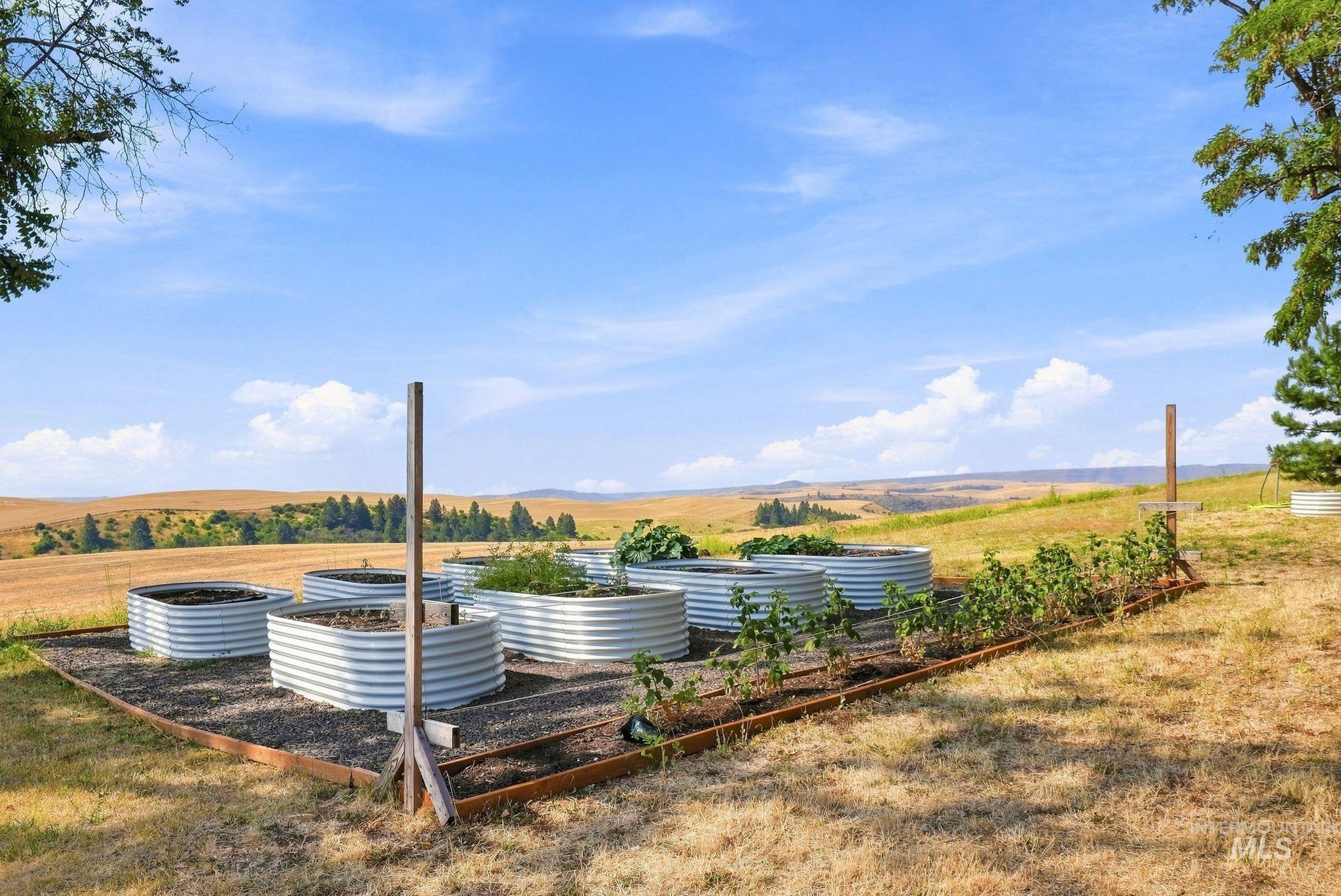 16078 Hoffman Road Kendrick, ID 83537 - Photo 35 of 47 Elevated garden beds with corrugated metal construction, organized in a dedicated cultivation area