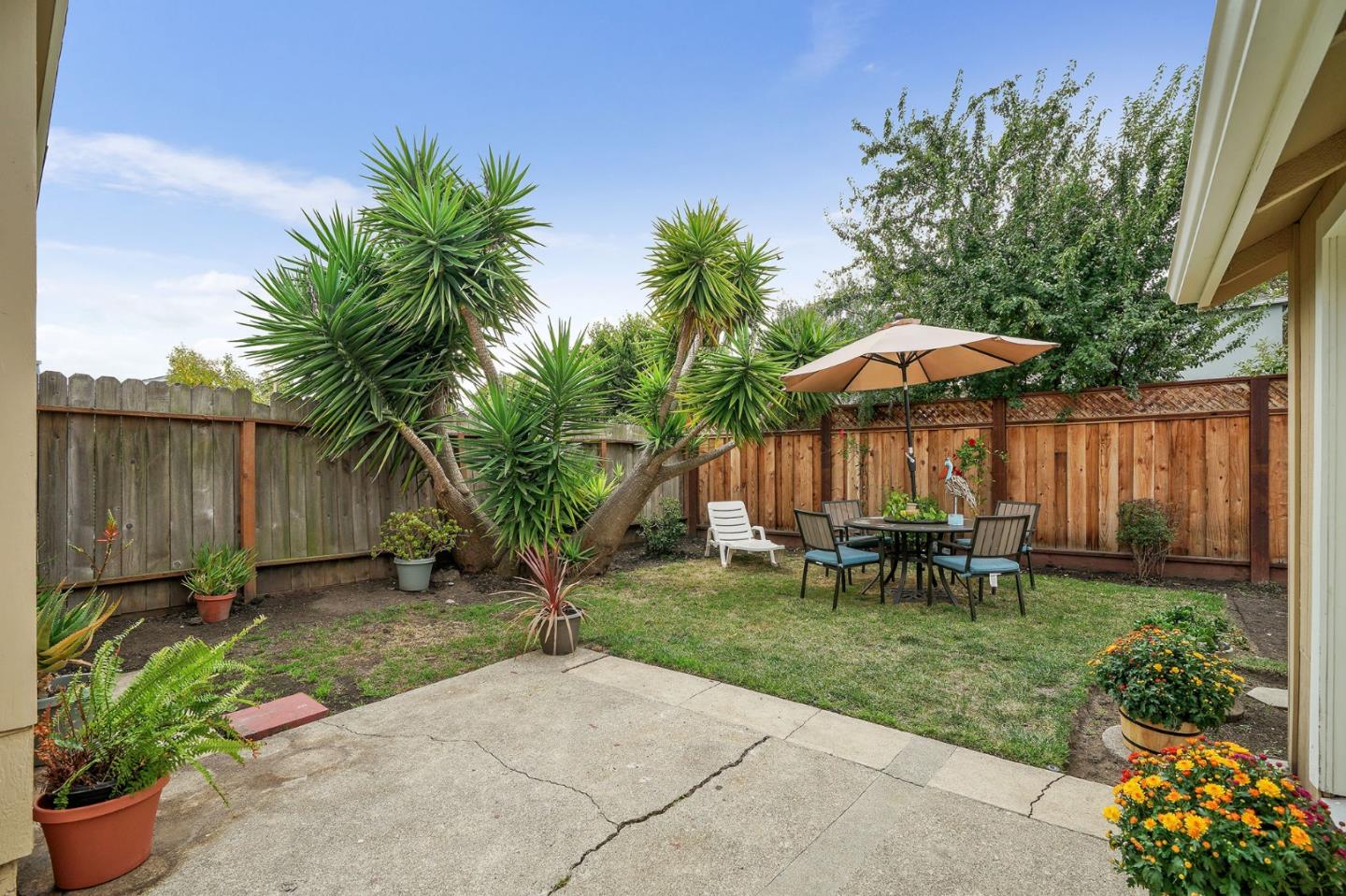 337 Elm Avenue San Bruno, CA 94066 - Photo 26 of 31