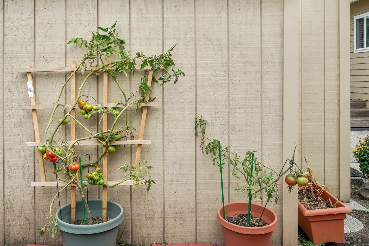 337 Elm Avenue San Bruno, CA 94066 - Photo 30 of 31