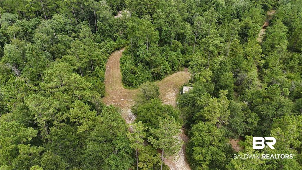 7930 D Chunchula Georgetown Road Chunchula, AL 36521 - Photo 11 of 63 Gallery Image 11