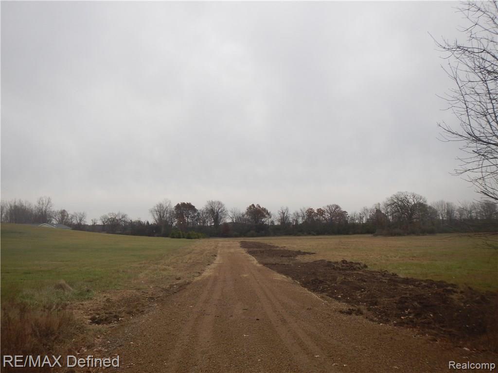 A-3 Metamora Road Metamora, MI 48455 - Photo 4 of 5