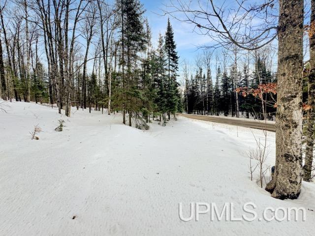 176 East Lake Emily Road Crystal Falls, MI 49920 - Photo 10 of 17