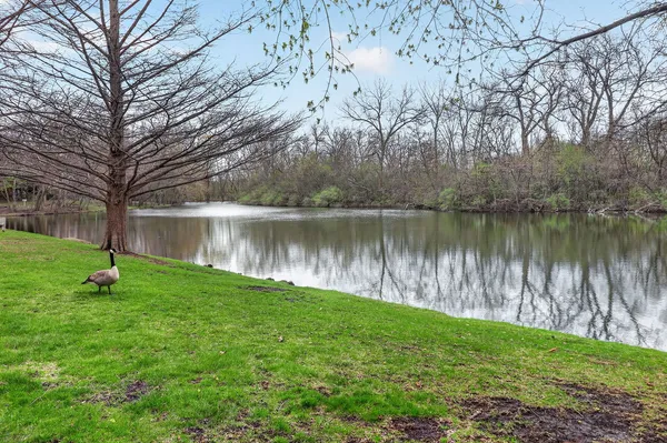 $425,000 | 1015 North Auburn Woods Drive, Palatine, IL 60067